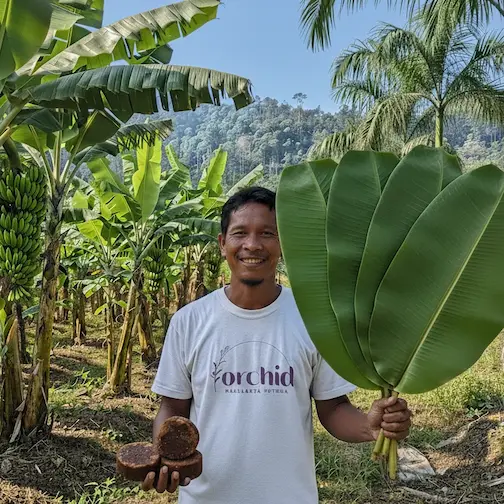Indonesian Farmer in Tea Plantation